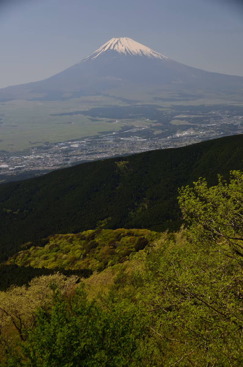 投稿写真：箱根より