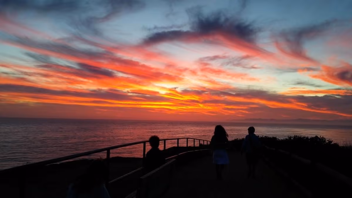 投稿写真：夕焼け