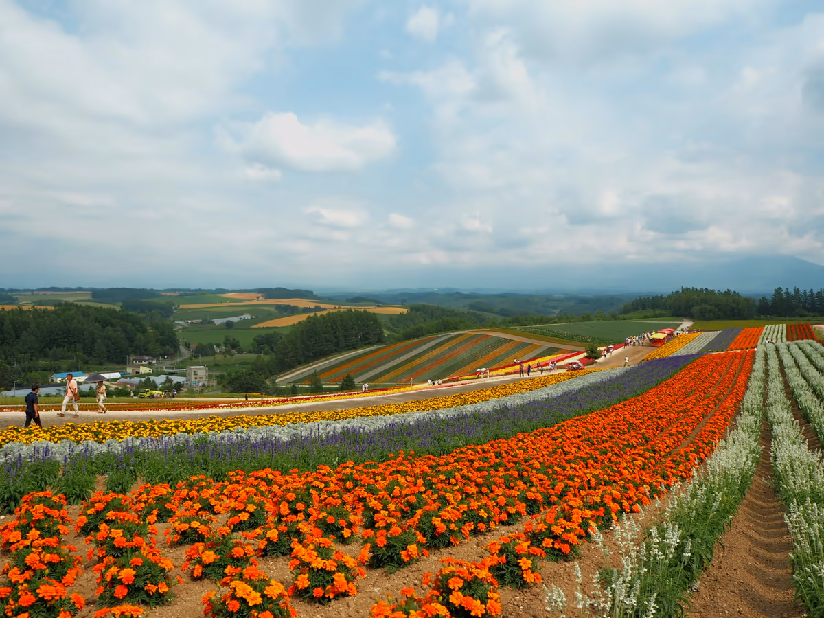 投稿写真：colorful