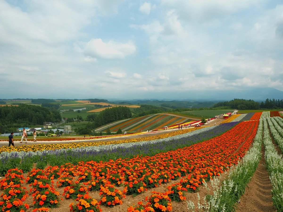 投稿写真：colorful