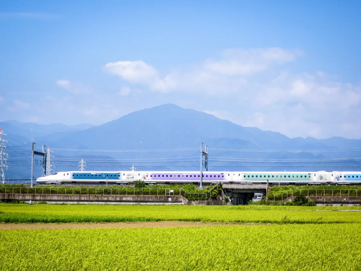 投稿写真：ディズニー新幹線と大山