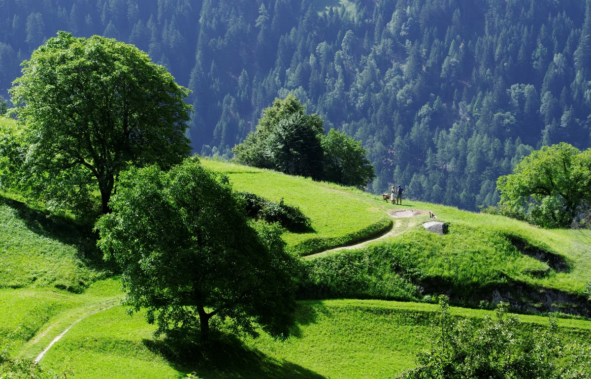 投稿写真：絶景を二人で