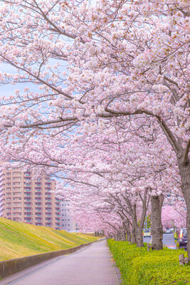  | 絶景事典