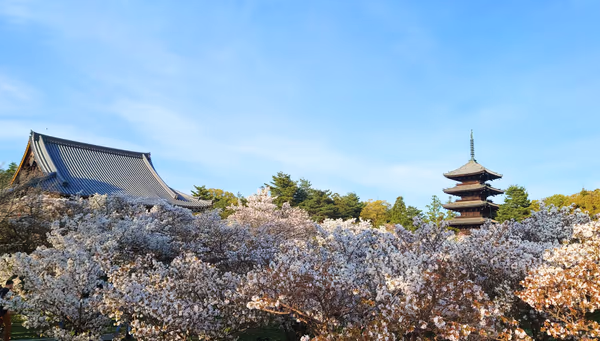 投稿：仁和寺