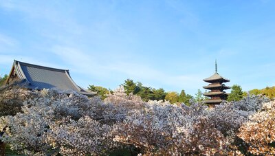  | 絶景事典