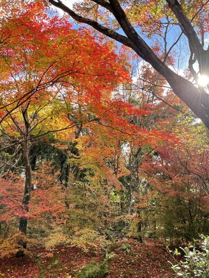  | 絶景事典