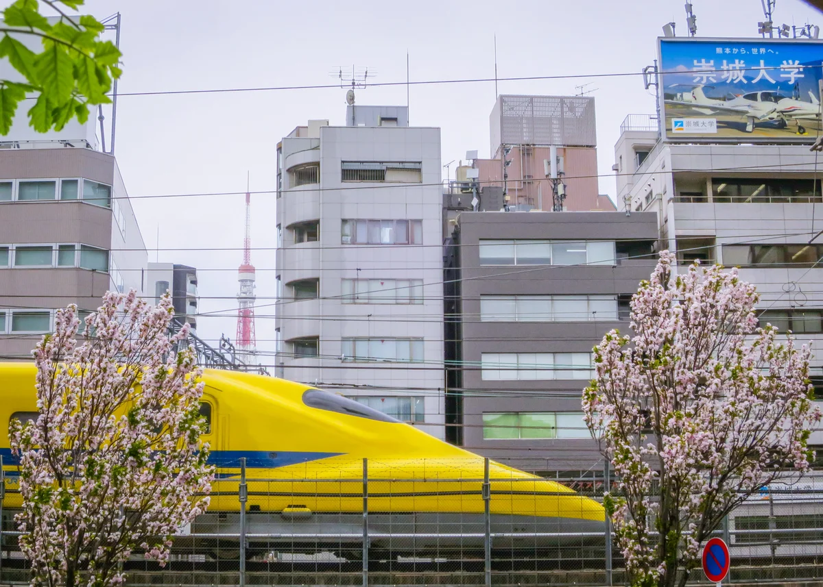 投稿写真：ドクターイエローと八重桜と東京タワー