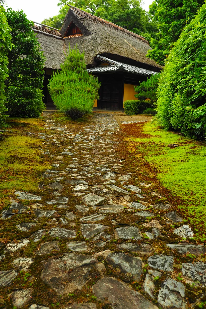 投稿写真：慈光院