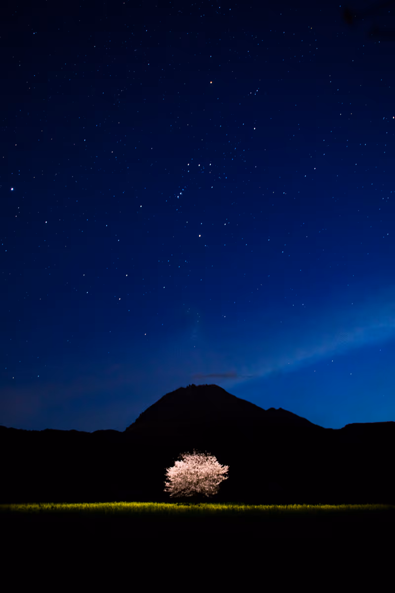 投稿写真：新月の夜