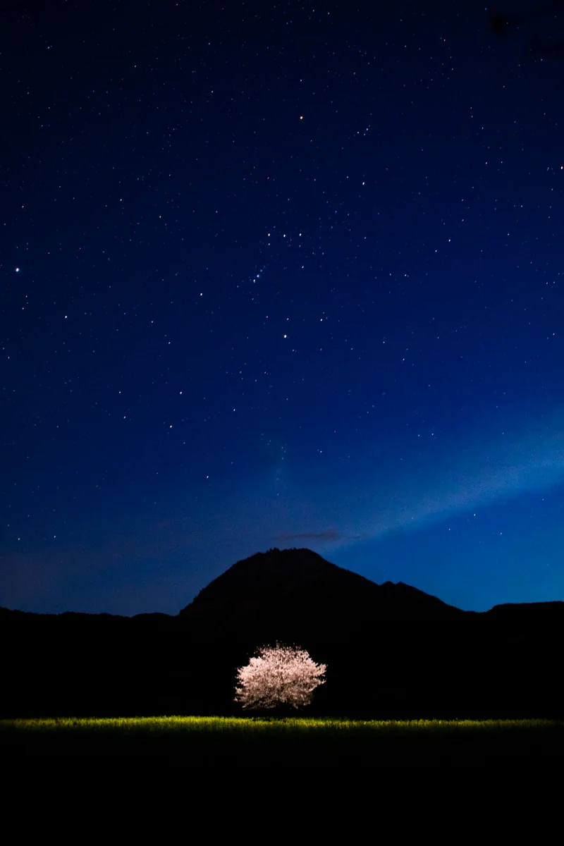 投稿写真：新月の夜
