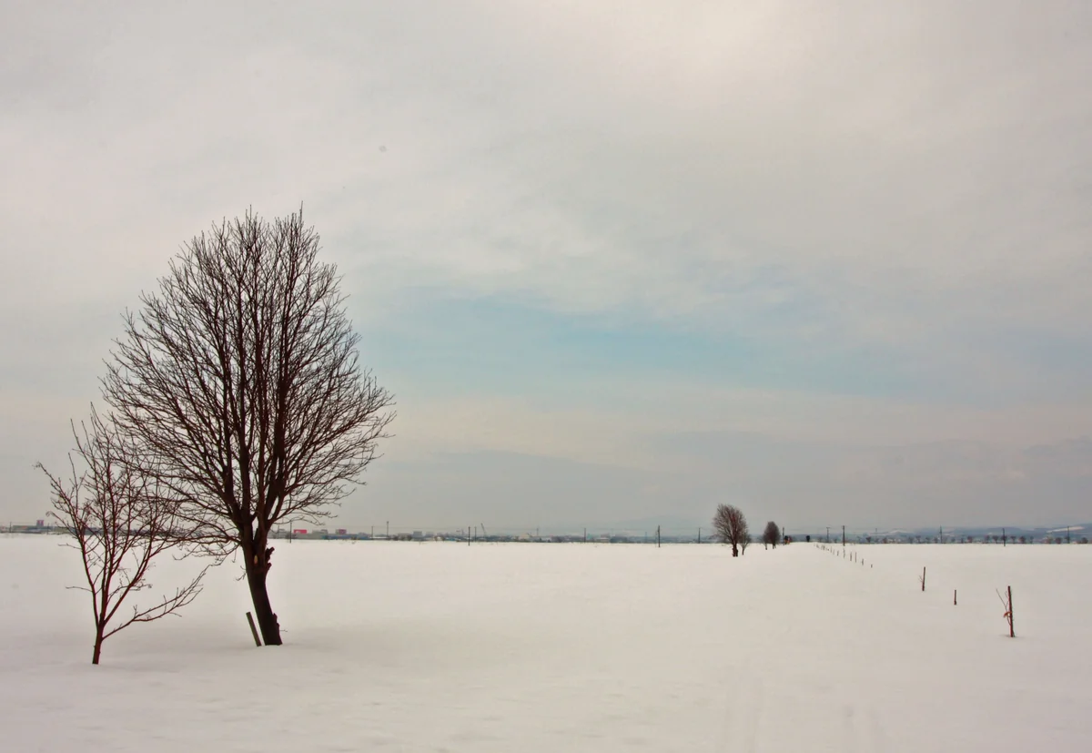 投稿写真：北海道　岩見沢市