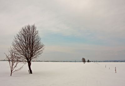  | 絶景事典
