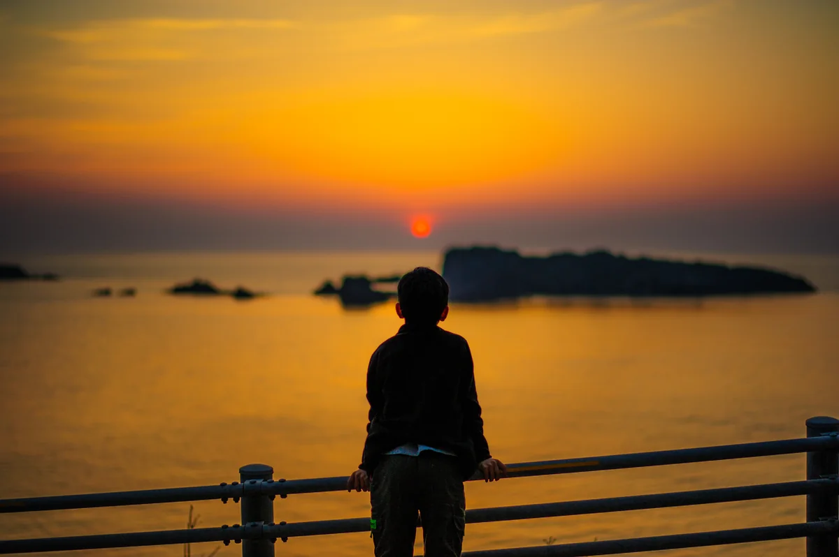 投稿写真：夕暮れの散歩道