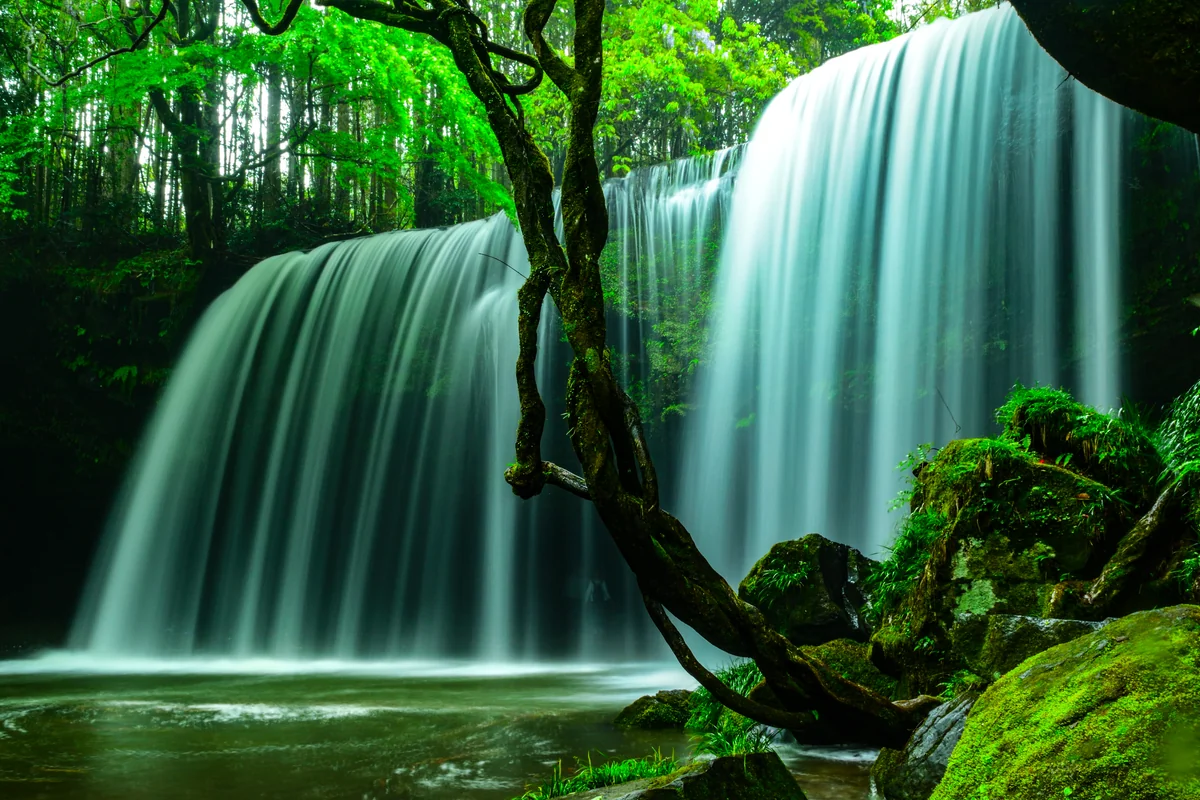 Hiromi Sakataさんの投稿写真