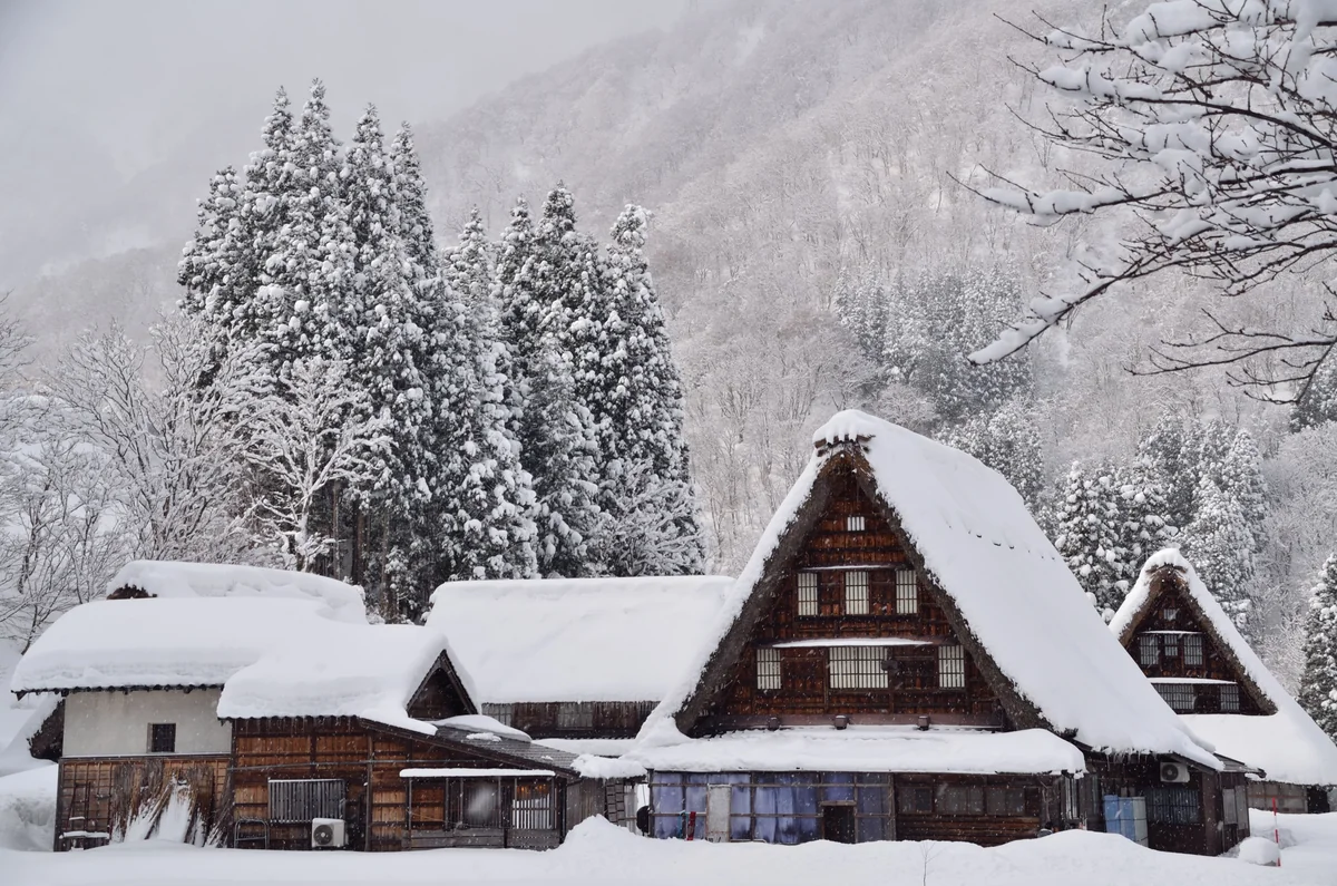 投稿写真：雪の中の合掌造