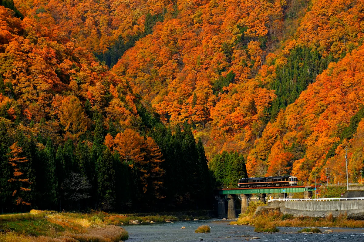 投稿写真：色づく飛騨路