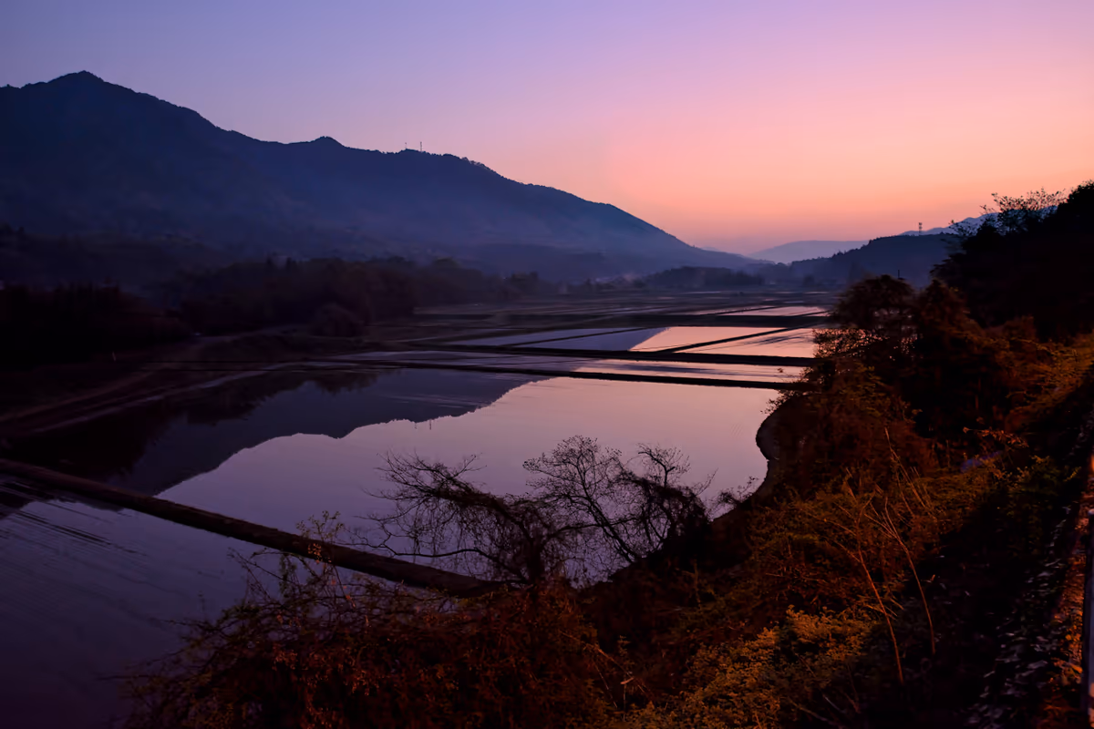 投稿写真：山口市阿東の棚田