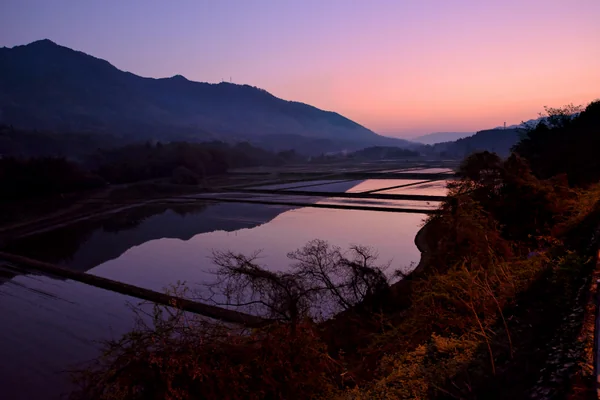 投稿：山口市阿東の棚田