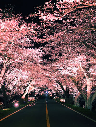  | 絶景事典