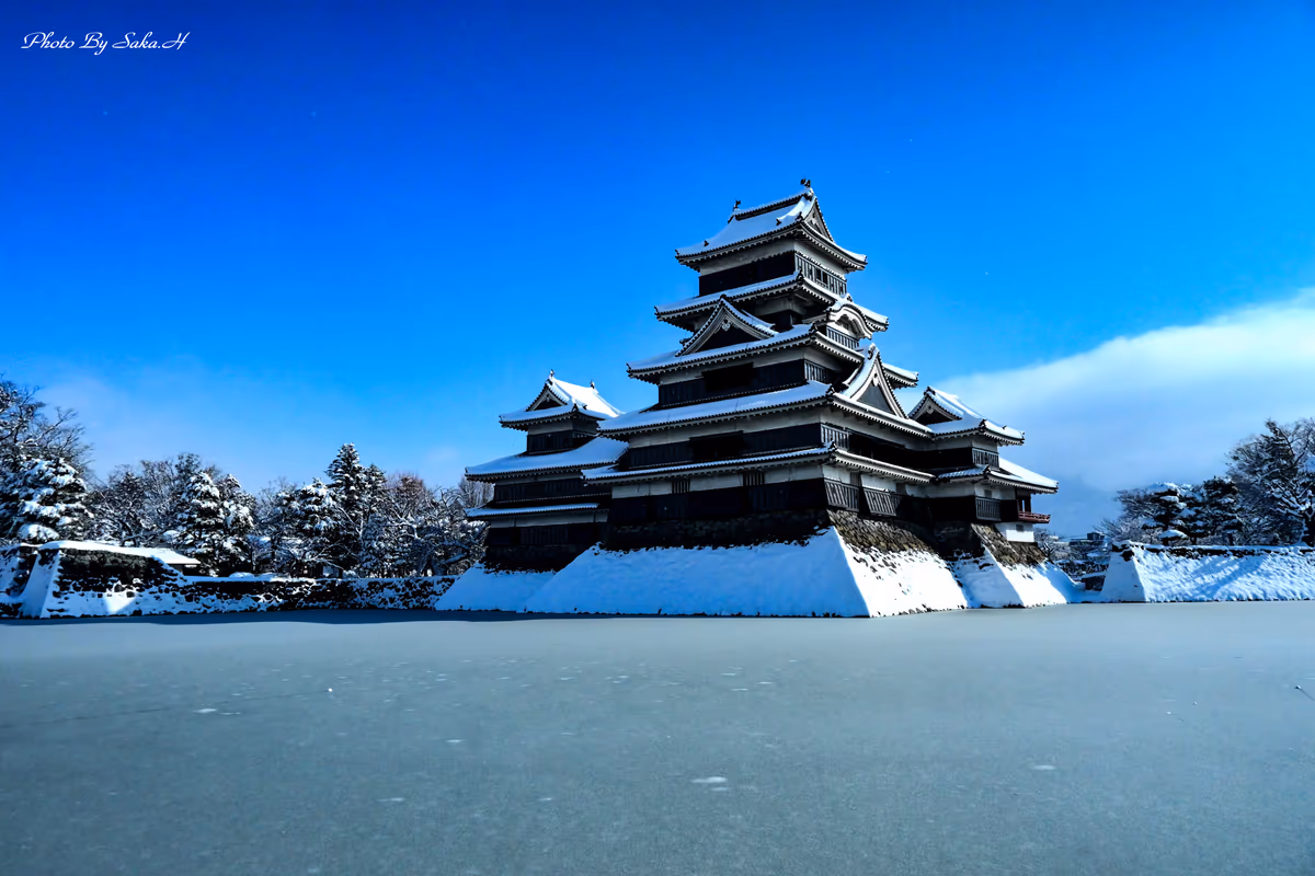 投稿写真：氷結
