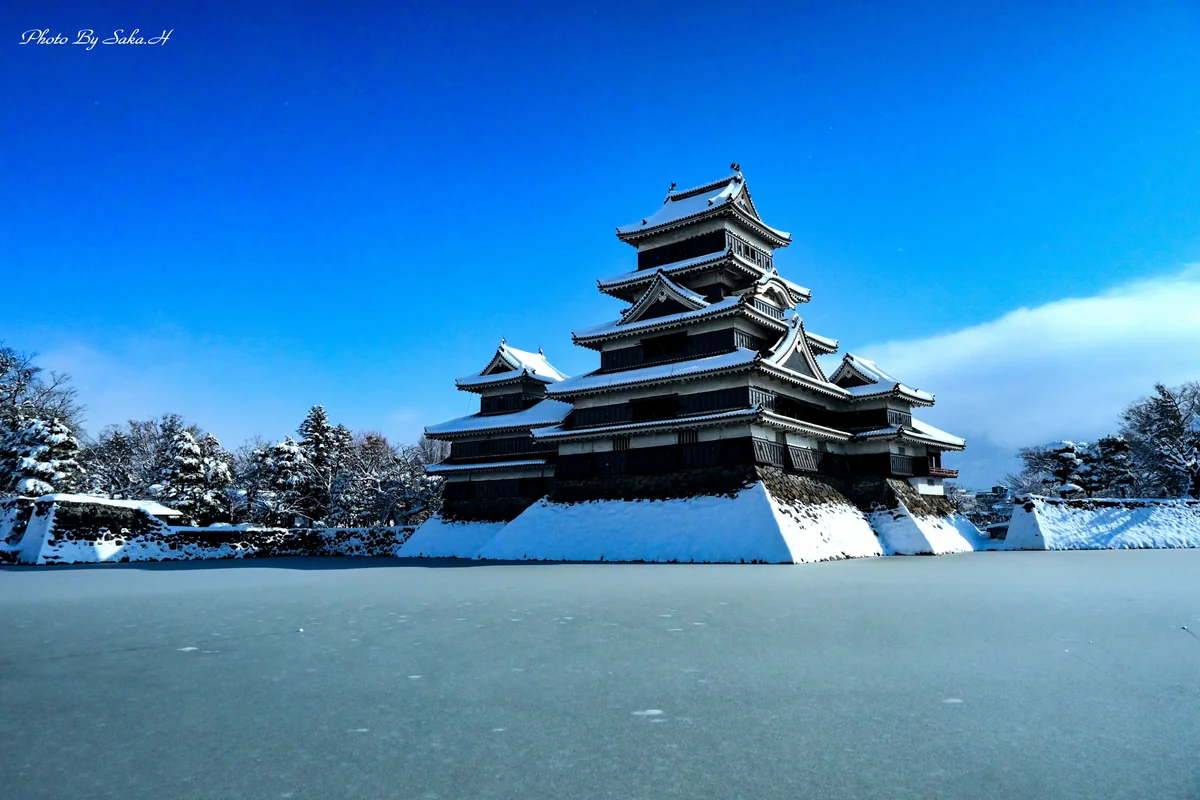 投稿写真：氷結