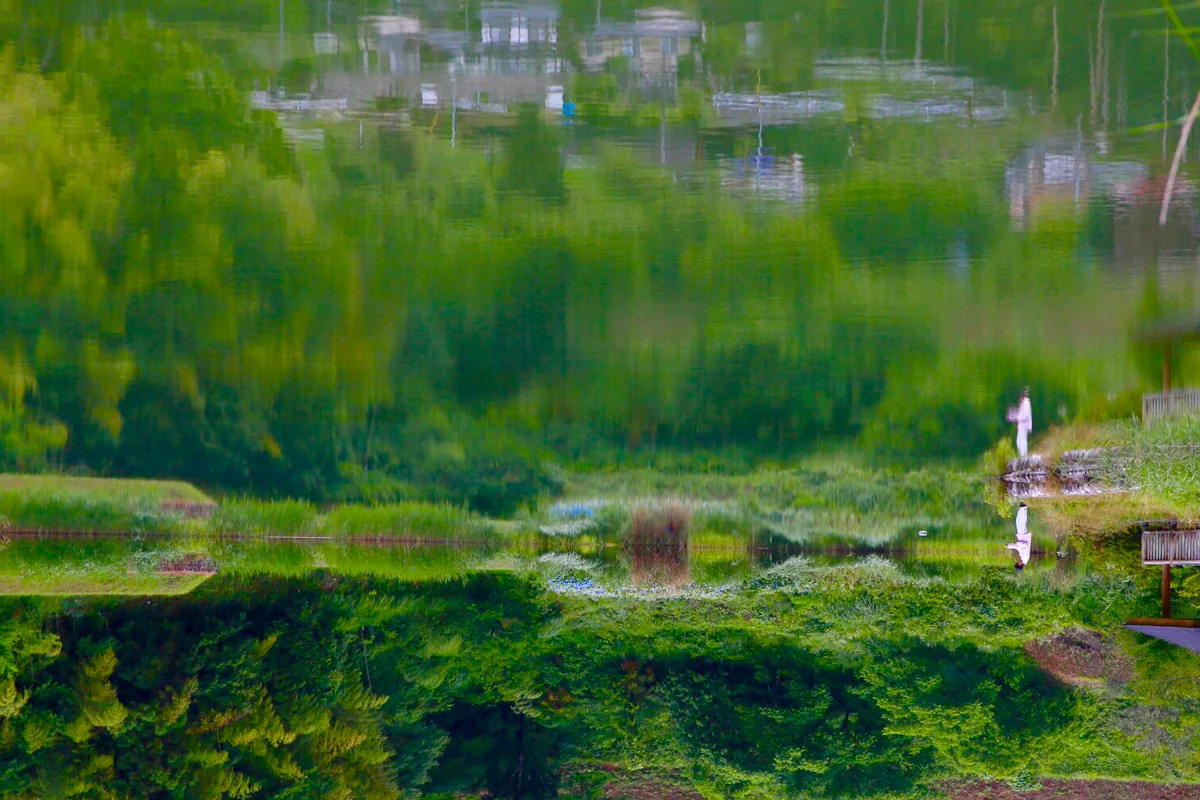 投稿写真：深見の池