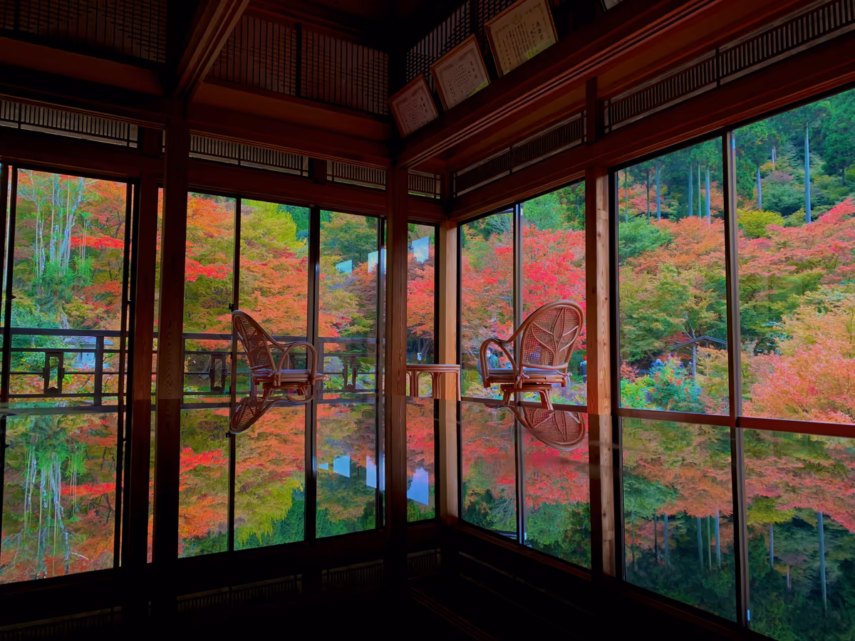投稿写真：環境芸術の森