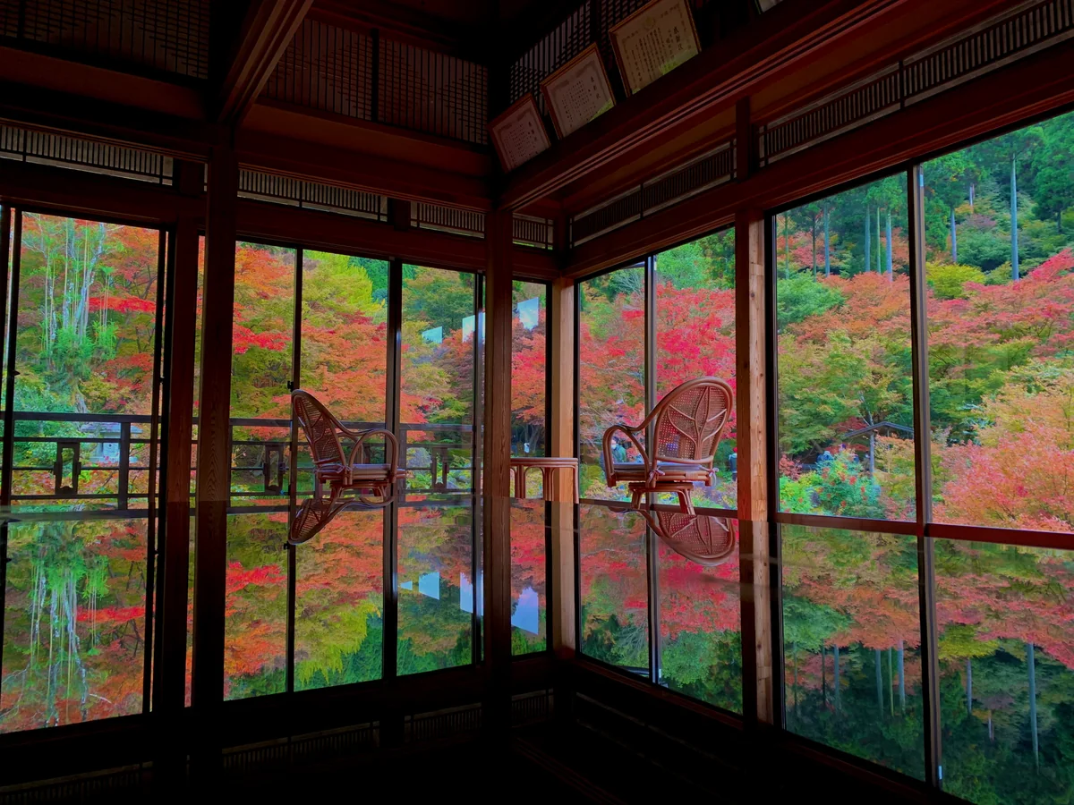 投稿写真：環境芸術の森