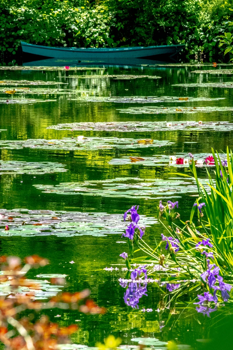 投稿写真：美しき水面