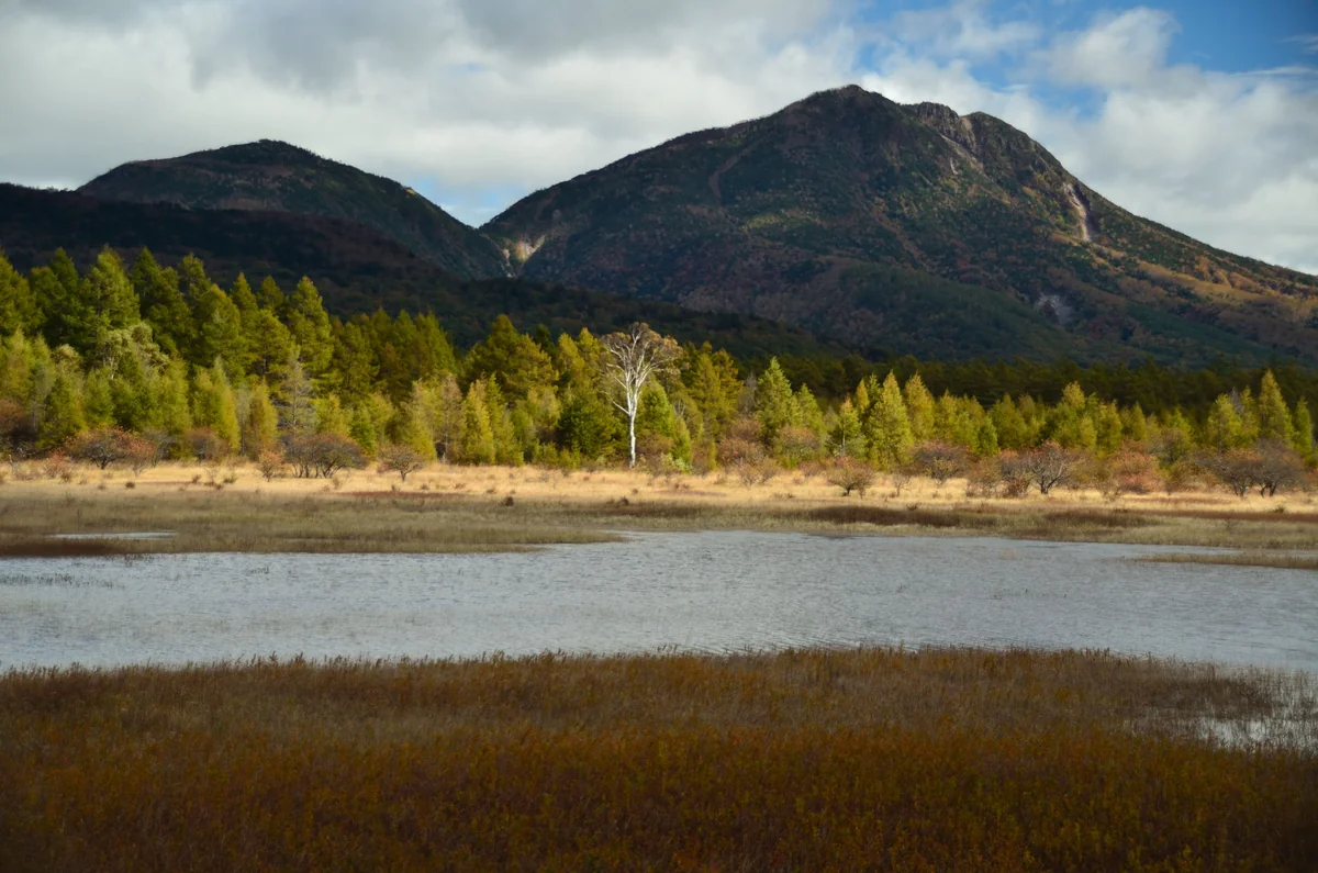 投稿写真：日光小田代ヶ原　秋の欠片