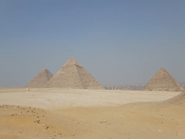 投稿：エジプト