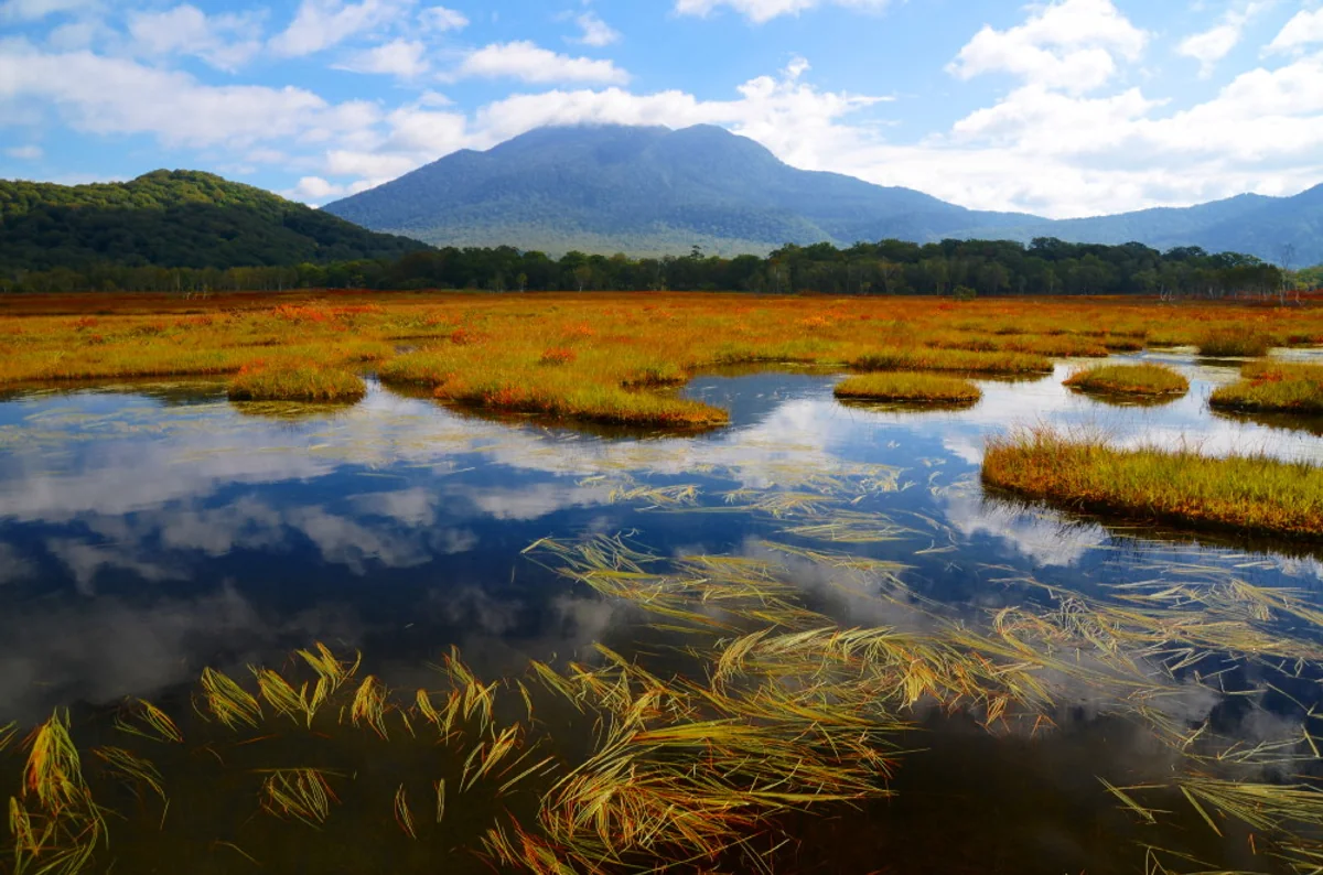 投稿写真：尾瀬　秋の始まり