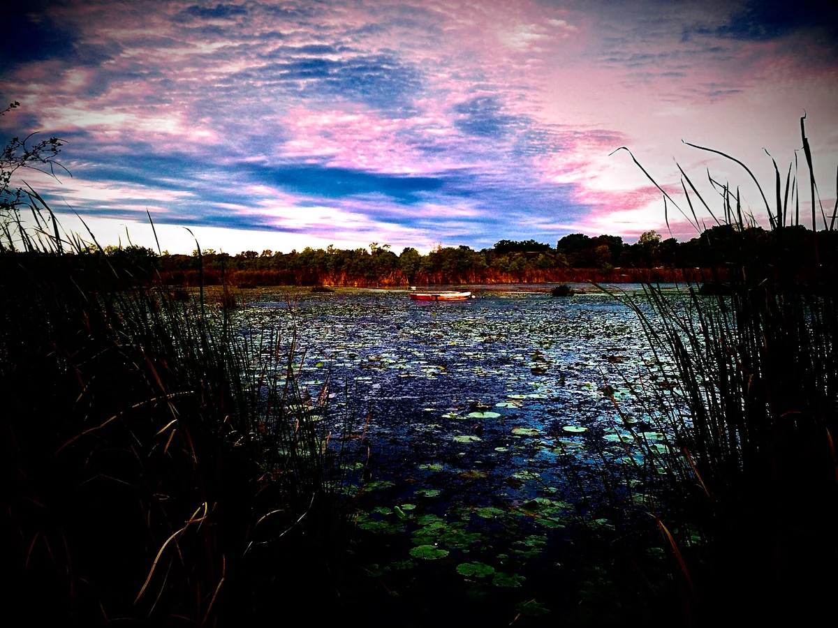投稿写真：湖面にポツリと