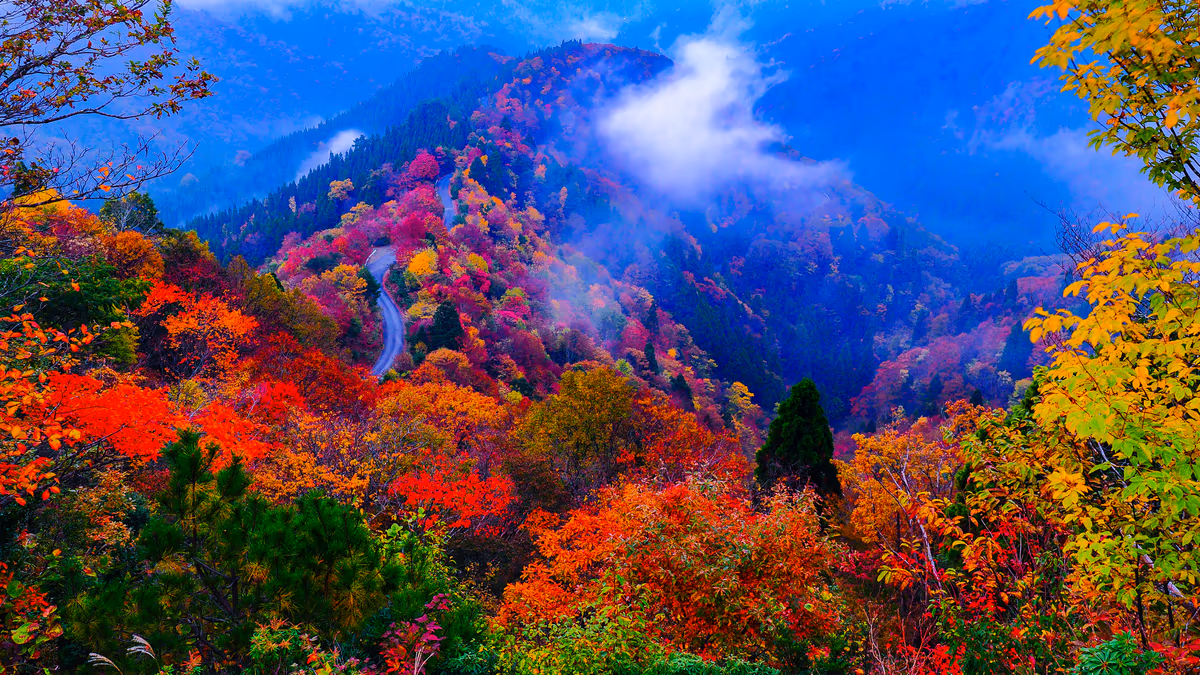 投稿写真：晩秋小入谷の紅葉