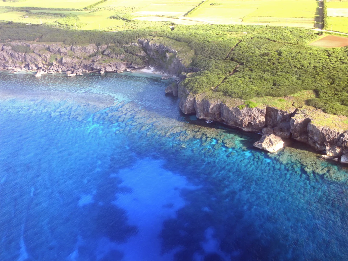 投稿写真：機内から夏へ
