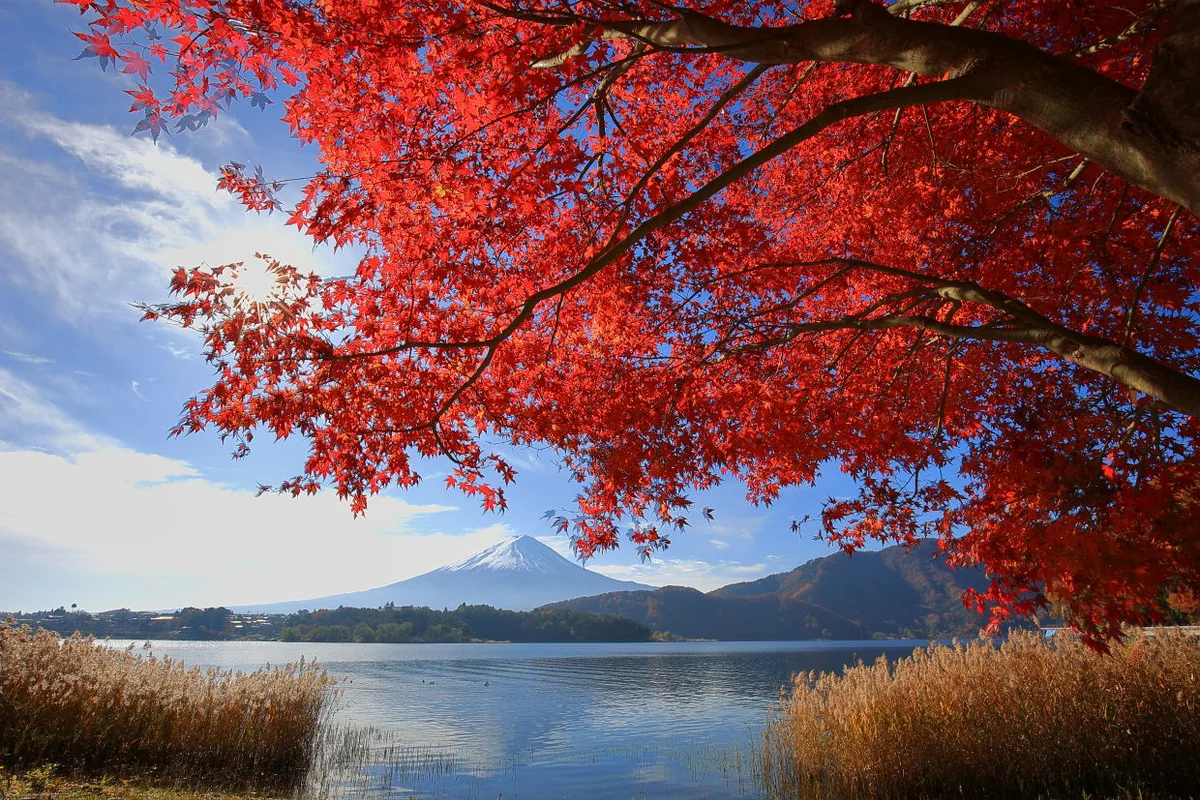 furukenさんの投稿写真