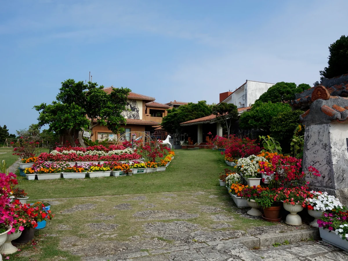 投稿写真：花の小学校