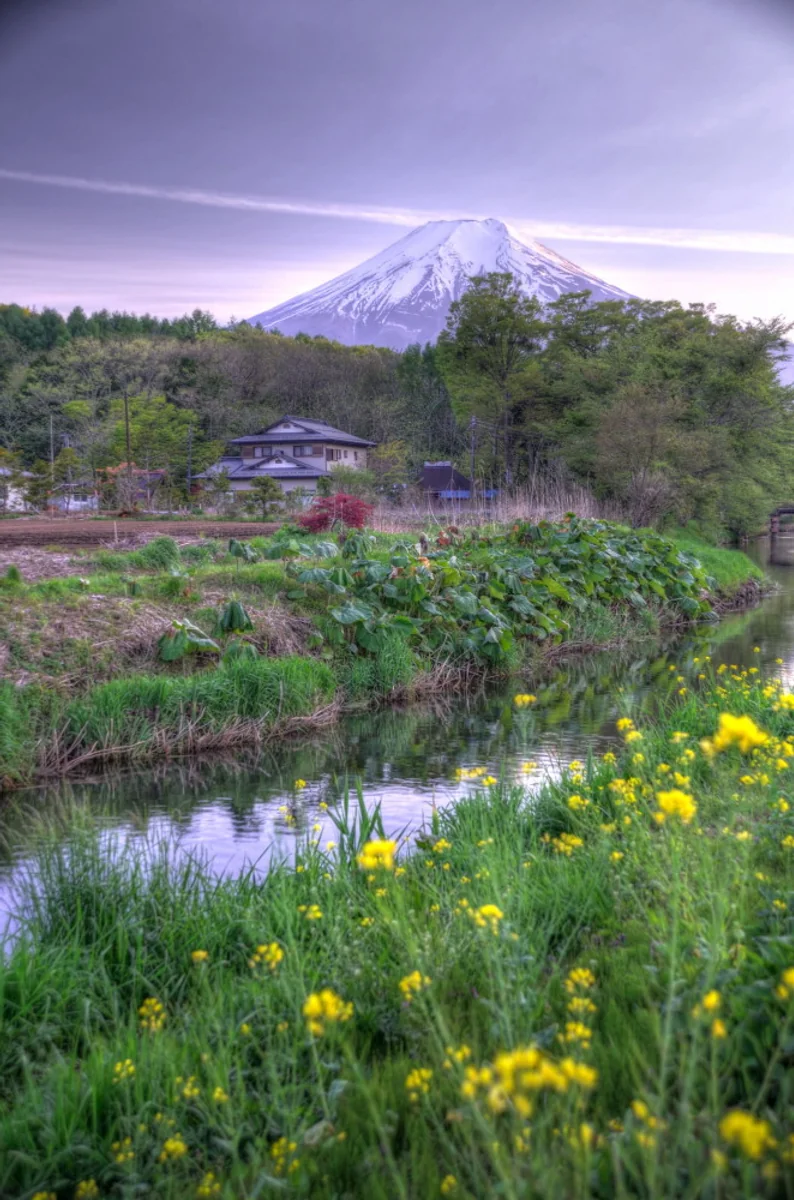 投稿写真：桃源郷と富士