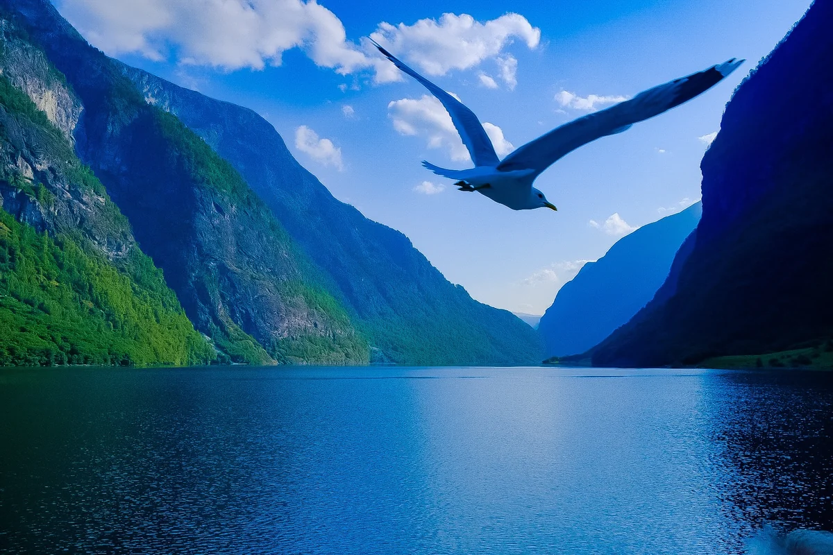 投稿写真：フィヨルドクルーズ