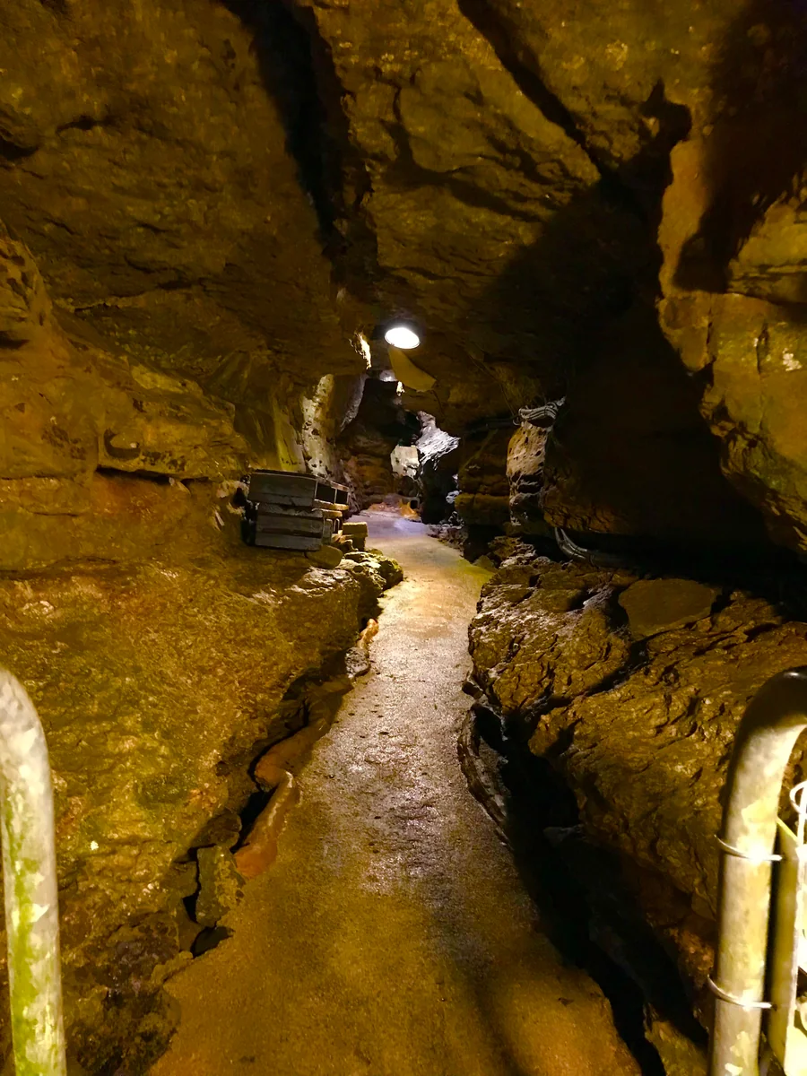 投稿写真：灼熱の暑さに耐えきれなくなった時に行く場所