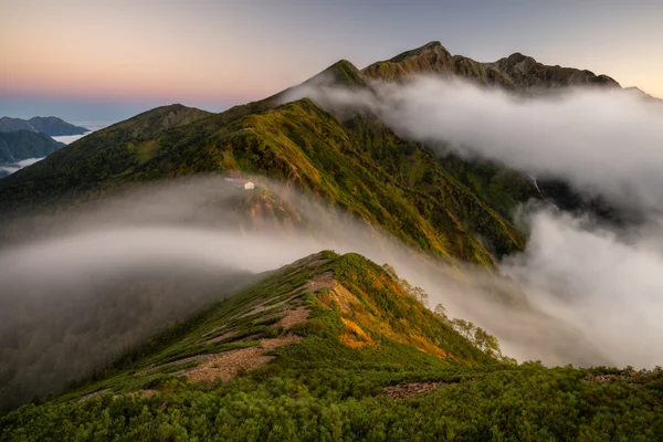 投稿：ヴェールを纏い