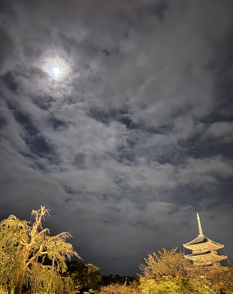 投稿写真：東寺
