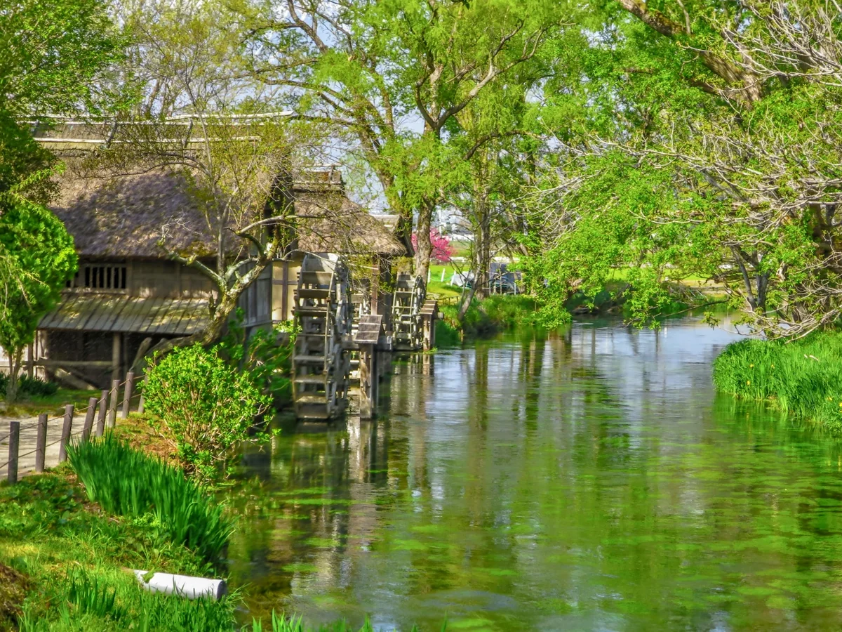 投稿写真：新緑の清流と三連水車