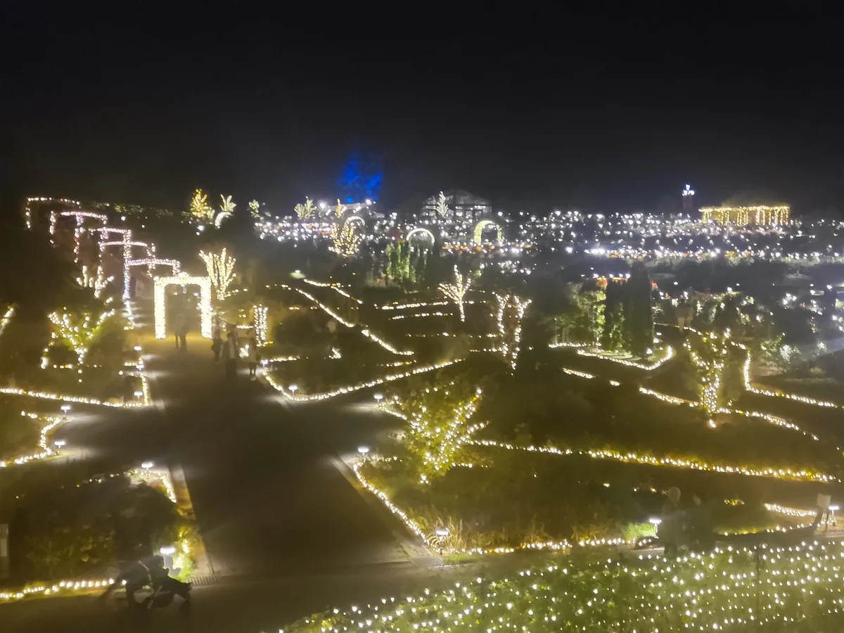 投稿写真：フラワーパークのイルミネーション