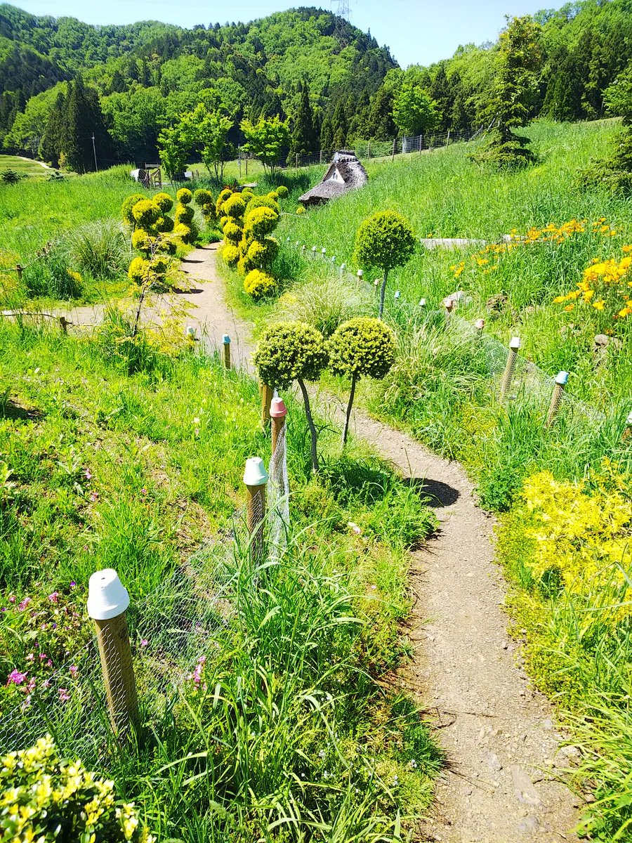 投稿写真：フェアリー村