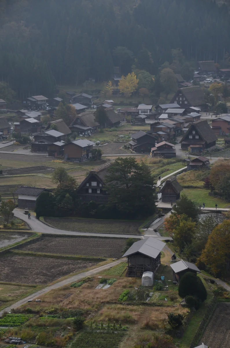 投稿写真：秋の合掌造集落