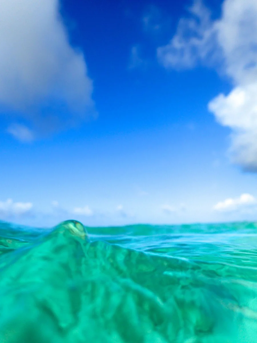 投稿写真：ロタ