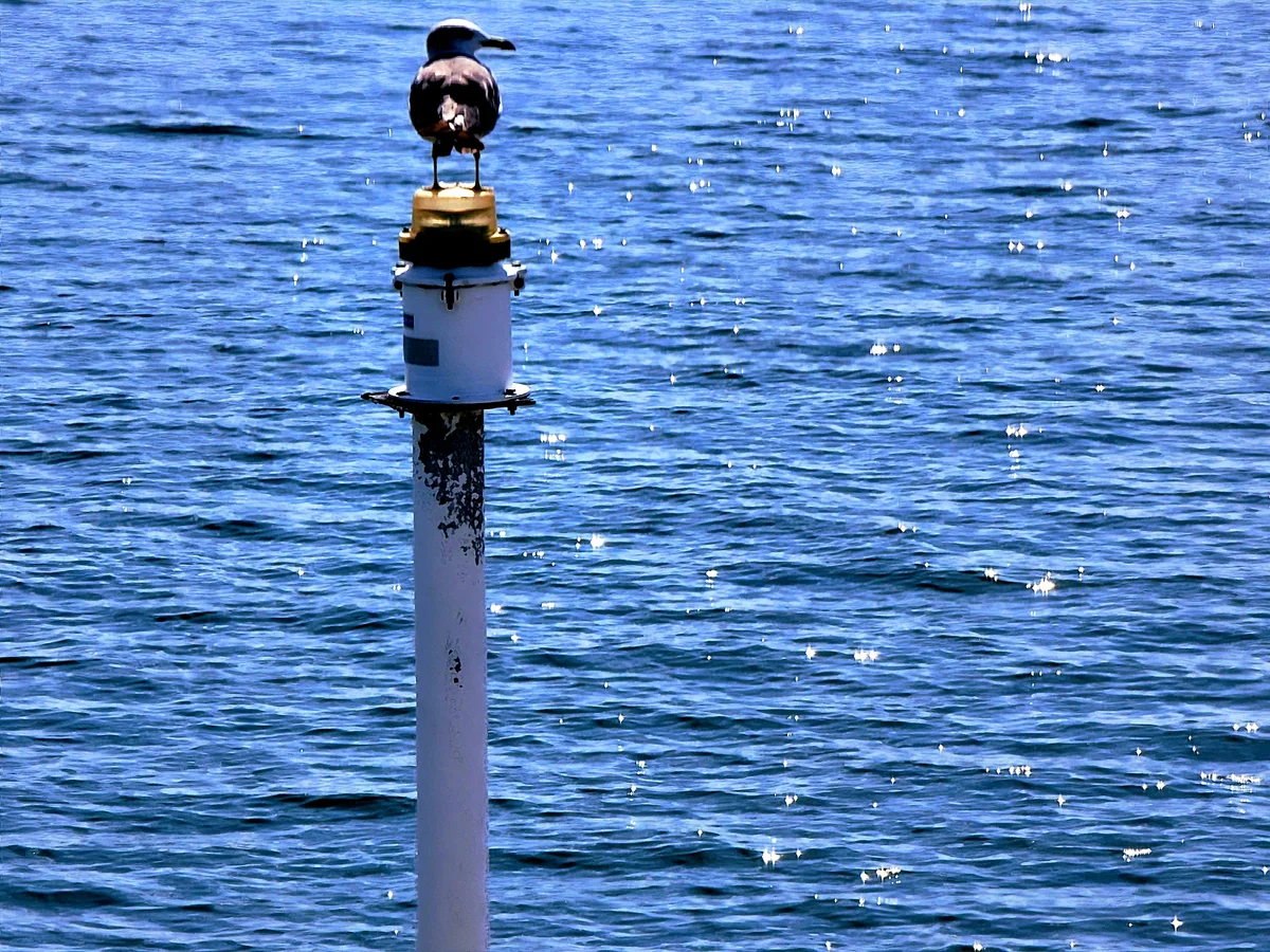 投稿写真：隊長