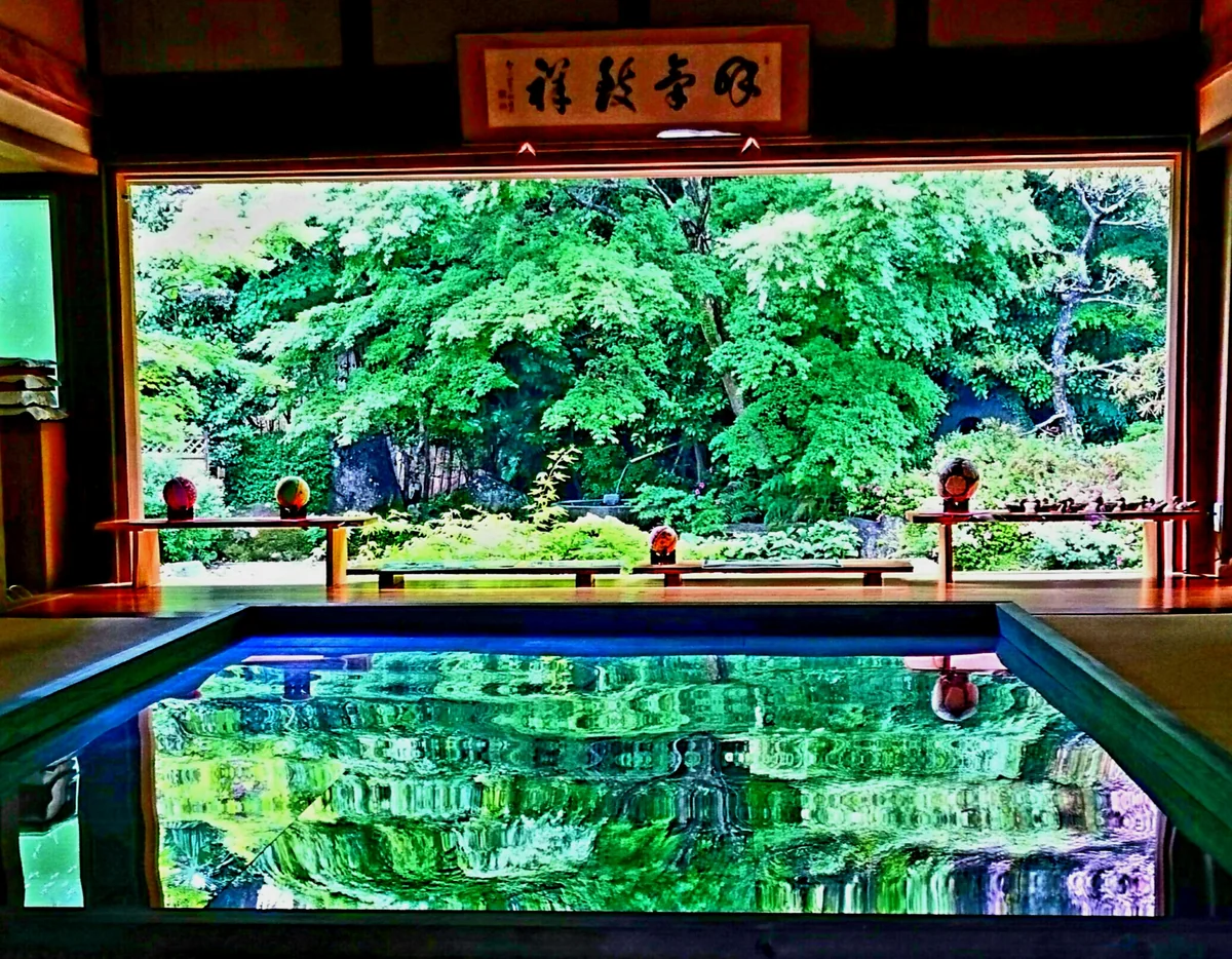 千夏さんの投稿写真