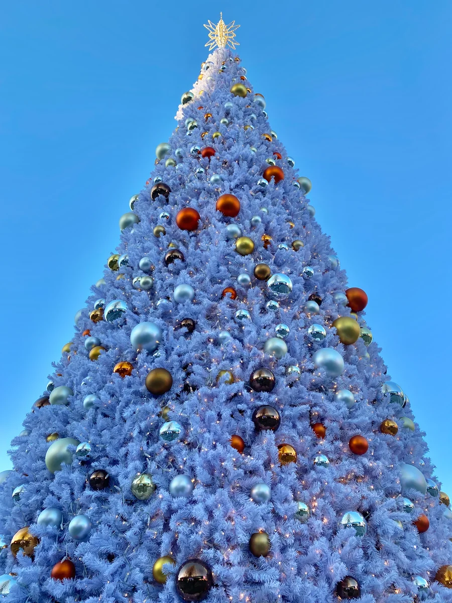 投稿写真：クリスマスツリー